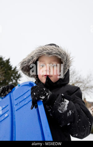 Tommy Sledging in the snow at The Croft, Masham Stock Photo