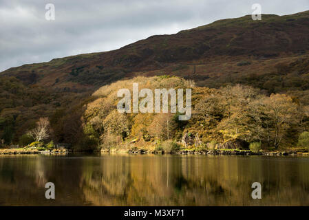 Llyn Dinas in autumn. Beddgelert, Gwynedd, Snowdonia national park, North Wales Stock Photo