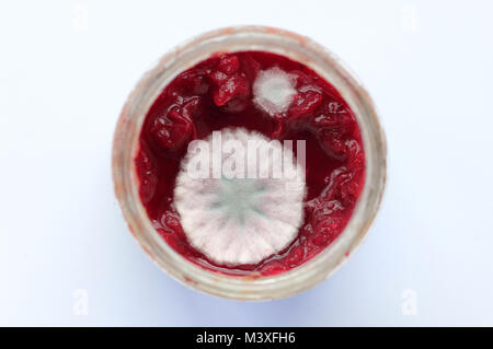 mold on fruit in jar Stock Photo