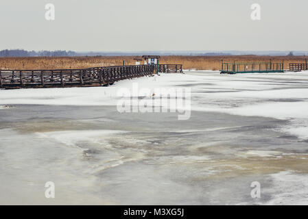Wooden footbridge over frozen braided channels of Narew River in Waniewo village, part of Narew National Park in Podlaskie Voivodeship of Poland Stock Photo