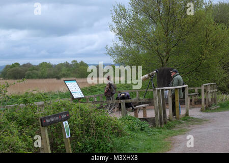 April 2017 - Photographer on the viewing platform at Ham Wall RSPB nature reserve. Stock Photo