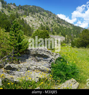 Summer valley and blue sky in Andorra. Mountain landscape in the Pyrenees. Stock Photo