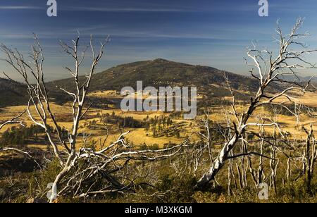 Dead Trees and Scenic Landscape View of Distant Lake Cuyamaca in east San Diego County from Stonewall Peak Hiking Trail in Rancho Cuyamaca State Park Stock Photo