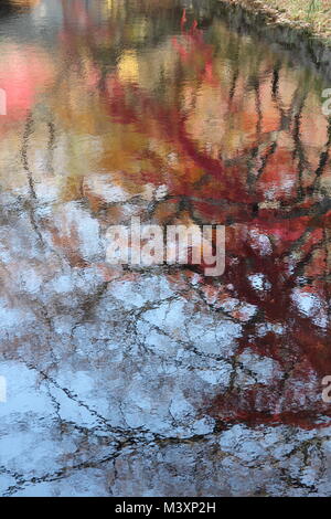 Water reflection of autumn colorful trees at Bulguksa Temple, Gyeongju, South Korea Stock Photo