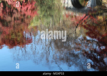 Water reflection of autumn colorful trees at Bulguksa Temple, Gyeongju, South Korea Stock Photo