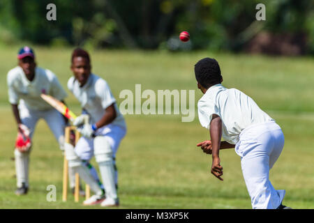 Cricket game action closeup unidentified abstract bowler batsman wicket keeper. Stock Photo