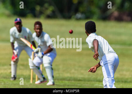 Cricket game action closeup unidentified abstract bowler batsman wicket keeper. Stock Photo