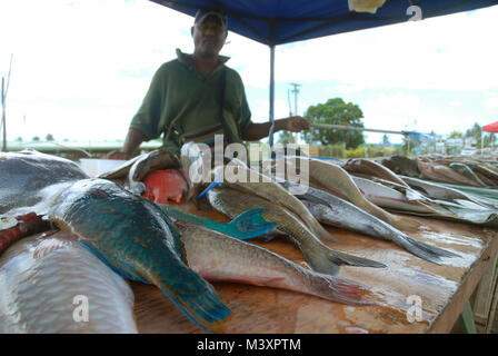 Selling fish fiji hi-res stock photography and images - Alamy