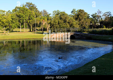 View of Lake Alford at the recreational park at the southern entry of the town of Gympie, Queensland, Australia Stock Photo