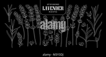 Set of isolated Lavender in 20 styles. Cute hand drawn flower vector illustration only white outline on black background. Stock Vector