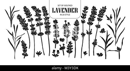 Set of isolated silhouette Lavender in 20 styles. Cute hand drawn flower vector illustration in white outline and black plane on black background. Stock Vector