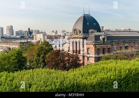 France, Paris, place Valhubert, Jardin des Plantes (aerial view) Stock Photo