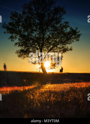 Silhouette of a sad woman standing at the sunset Stock Photo - Alamy