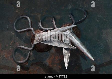 Two rough metal black scissors for shearing sheep, intersect and lie blades up in the water on a black background, sharp blades stick out. Stock Photo