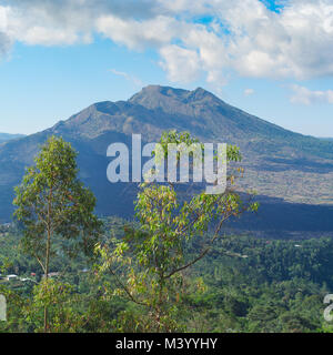 Beautiful landscape with a Batur volcano and lake. Bali. Indonesia Stock Photo