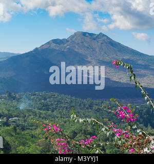 Beautiful landscape with a Batur volcano and lake. Bali. Indonesia Stock Photo