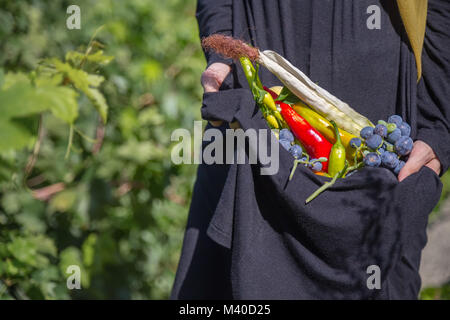 Woman holds in her hands the harvest of vegetables:grapes,peppers,corns with vineyard on background. Stock Photo