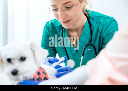 Female vet makes an injection to a dog
