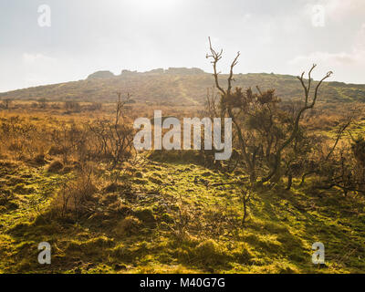 View looking up towards Pew Tor in Dartmoor National Park, Devon, England, UK.  The burnt vegetation is the result of 'swailing', a controlled burn. Stock Photo