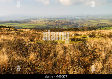 View west over Tavistock, seen from the slopes of Pew Tor, Dartmoor National Park, Devon, UK. Stock Photo