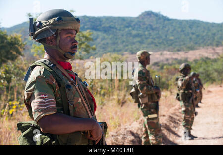 Members of the Zambian Defense Force stand guard during the opening day ceremony for Exercise Southern Accord 2015 in Lusaka, Zambia on March 4, 2015. The annual exercise provides U.S. Military, United Nation allies and the Zambian Defense Force an opportunity to work and train together as a combined joint peacekeeping allied force. (U.S. Army Africa photo by Staff Sergeant Brian Kimball) 150804-F-QP401-071 by DoD News Photos Stock Photo