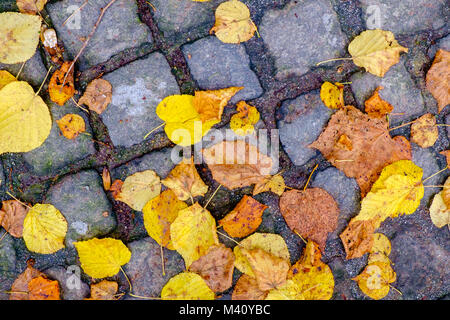 Wet fallen colorful autumn leaves on stone footpath Stock Photo