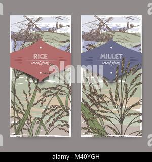 Set of two labels with Asian rice aka Oryza sativa and Proso millet aka Panicum miliaceum color sketch. Stock Vector