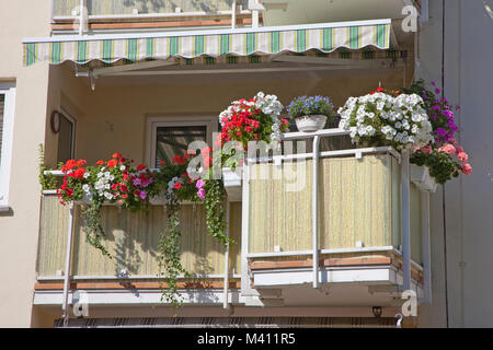 Balcony with geranium, apartment building at center of Coblenz, Rhineland-Palatinate, Germany, Europe Stock Photo