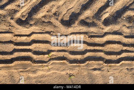 Tire tracks on a sandy road, illuminated by the setting sun Stock Photo