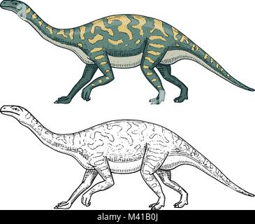 Dinosaurs Barosaurus, Apatosaurus, Tenontosaurus Plateosaurus, broad lizard, Massospondylus, Diplodocus, Brachiosaurus, skeletons, fossils. Prehistoric reptiles, Animal Hand drawn vector Stock Vector