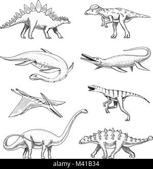 Dinosaurs elasmosaurus, mosasaurus, barosaurus, diplodocus, pterosaur, ankylosaurus, triceratops, fossils, winged lizard. American Prehistoric reptiles, Jurassic Animal engraved Hand drawn vector. Stock Vector