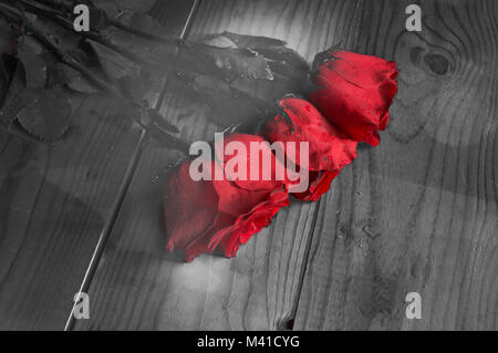three red roses on grey background, vintage and fantasy Stock Photo