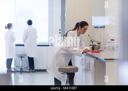 Female scientist looking at microscope Stock Photo