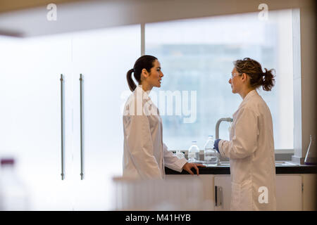 Two female scientists discussing results of experiment Stock Photo