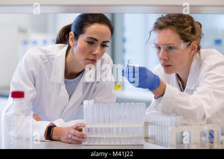 Two female scientists analyzing test tube sample Stock Photo