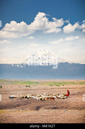 Masai herders  herd  in savannah with a snow covered Mount Kilimanjaro in the background. Tanzania. Africa. Stock Photo
