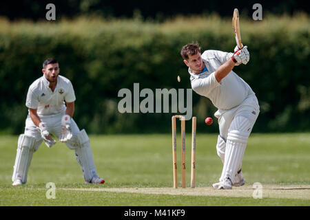 Cricket, batsman being bowled out Stock Photo