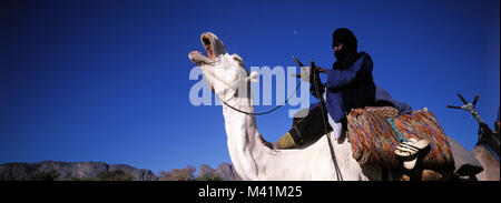 Niger, Sahara, Tenere desert, tuareg camel rider Stock Photo