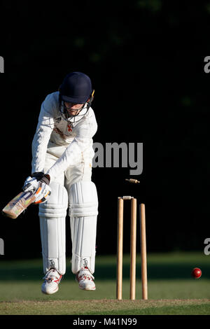Cricket batsman being bowled out. Stock Photo