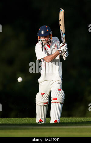 Cricket batsman in action. Stock Photo