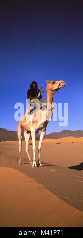 Niger, Sahara, Tenere desert, tuareg camel rider Stock Photo