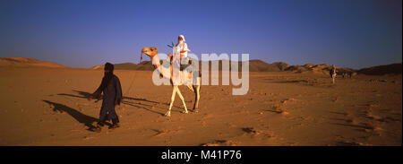 Niger, Sahara, Tenere desert, camel ride at the edge of the Air region Stock Photo