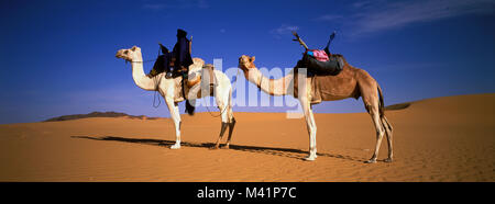 Niger, Sahara, Tenere desert, tuareg camel rider Stock Photo