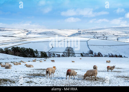 The Cat and Fiddle in winter.  The second highest pub in England sits on the Cheshire / Derbyshire border Stock Photo