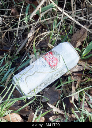 Discarded Can of Stella Artois Lager On a Roadside Verge, UK Stock Photo