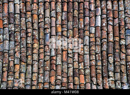 The roof of an old house in the Azores is covered with chipped, cracked, mould-covered, half-round terracotta tiles. Stock Photo