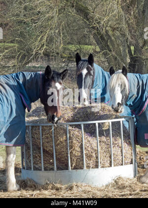 Hay Rack In Field Stock Photo 165347787 Alamy