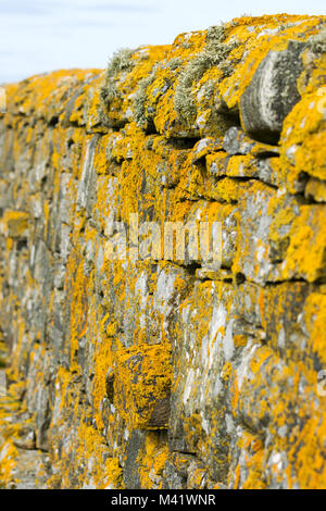 Lichen and moss covered stone walls Stock Photo