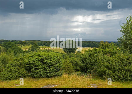 In the sun with light rain showers in the distance, Knivsås-Borelund nature reserve Stock Photo