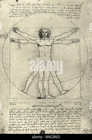 Vitruvian Man, Leonardo Da Vinci, Circa 1490 Stock Photo